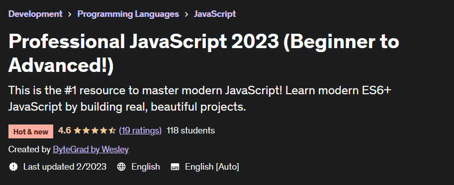 Professional JavaScript 2023 (Beginner to Advanced!)