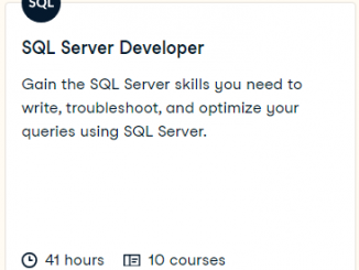 SQL Server Developer