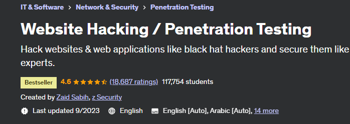 Website Hacking / Penetration Testing 