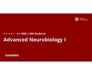 Advanced Neurobiology I