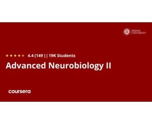 Advanced Neurobiology II