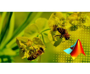 Artificial bee colony Optimization Algorithm (Using MATLAB)