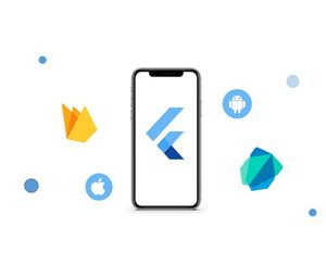 Flutter &Firebase Build A Multi-store App &Single Vendor App