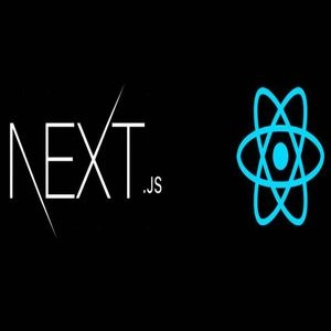 Download Practical Next.js & React
