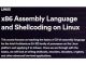 x86 Assembly Language and Shellcoding on Linux