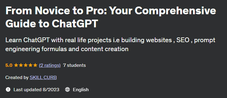 From Novice to Pro: Your Comprehensive Guide to ChatGPT