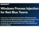 Windows Process Injection for Red-Blue Teams
