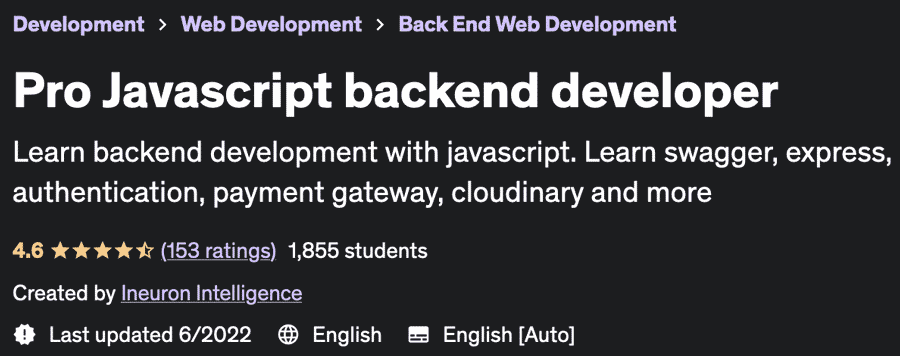 Pro Javascript backend developer