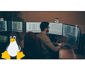 Linux Essentials for IT Professionals