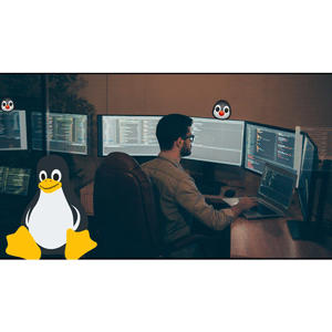 Linux Essentials for IT Professionals