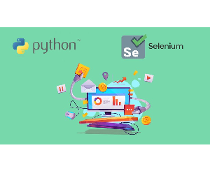 Python for webscraping, scheduling & automation (Selenium)