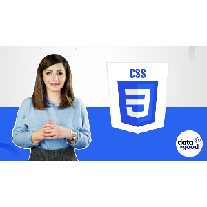 Download Udemy - Master CSS Bootcamp 2022 with Animations, Transitions, Flex 2022-3
