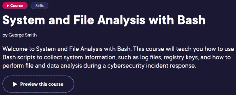 System and File Analysis with Bash