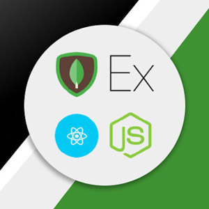 MERN Stack Course - MongoDB, Express, React and NodeJS