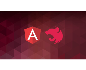 The Complete Angular & NestJS Course