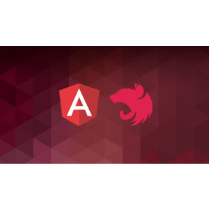 The Complete Angular & NestJS Course