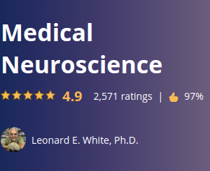 Medical Neuroscience