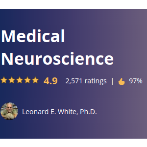 Medical Neuroscience