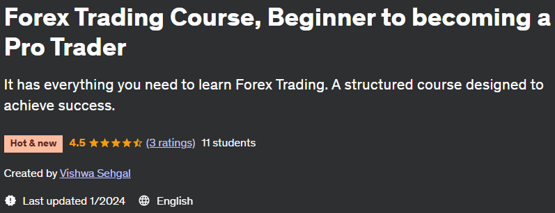 Forex Trading Course, Beginner to becoming a Pro Trader