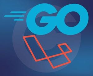 Let's Build a Go version of Laravel