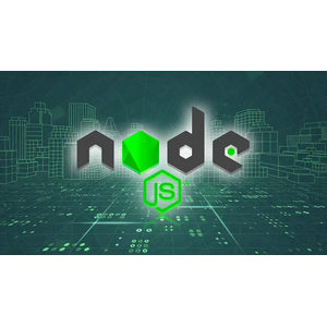 Complete Node.js Developer in 2021: Zero to Mastery