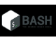 Bash Shell Scripting: A Complete Guide for Beginner