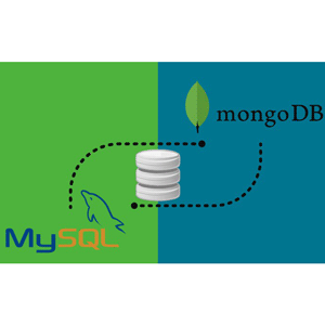 Practical Database Guide with RDBMS(MySQL) & NoSQL(MongoDB)