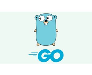 Build a good structure with golang (go, gin, mysql, gorm)