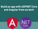 Build an app with ASPNET Core and Angular from scratch