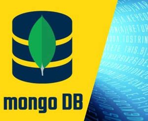 MongoDB - The Complete Dev BootCamp