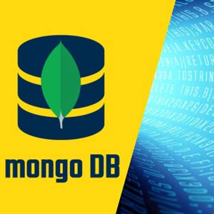 MongoDB - The Complete Dev BootCamp 