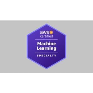 AWS Certified Machine Learning Specialty MLS-C01 [2023]