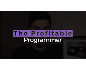 The Profitable Programmer