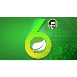 Spring Framework 6: Beginner to Guru