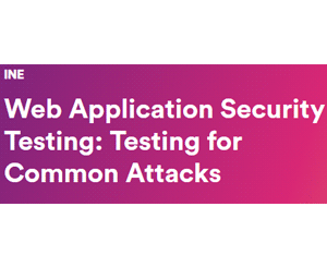 Web Application Security Testing: Testing for Common Attacks