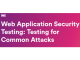 Web Application Security Testing: Testing for Common Attacks