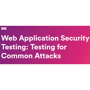 Web Application Security Testing: Testing for Common Attacks