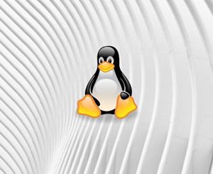 Linux for Data Engineers (Hands On)