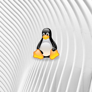 Linux for Data Engineers (Hands On)