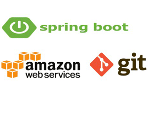 Java/Spring Boot REST API Developer: On Job Skills