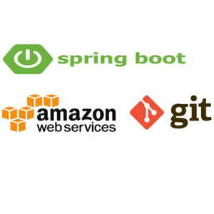 Java/Spring Boot REST API Developer: On Job Skills