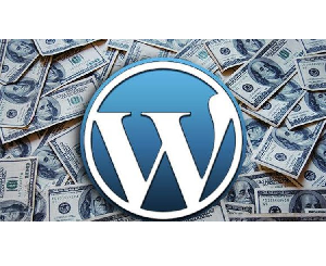 Download Udemy - WordPress Full guide 2022, develop investment website 2022-6