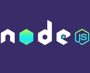 The Complete Node.js Course