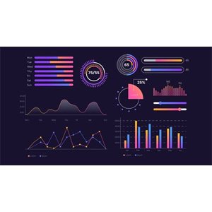 Data Analysis Bootcamp™ 21 Real World Case Studies