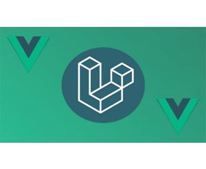 Fullstack Laravel 10 + Vue.js 3 (2023) - Build APIs and SPAs