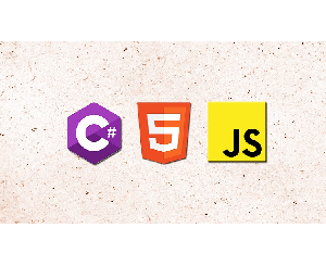 HTML JavaScript & AspNet C# Programming : Beginner to Expert