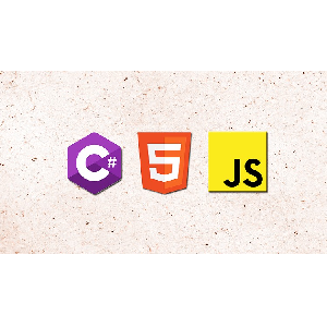 HTML JavaScript & AspNet C# Programming : Beginner to Expert