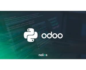 Odoo Development Masterclass (updated monthly)