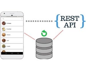 Local Database Cache with REST API