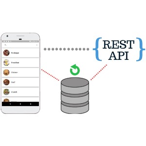 Local Database Cache with REST API